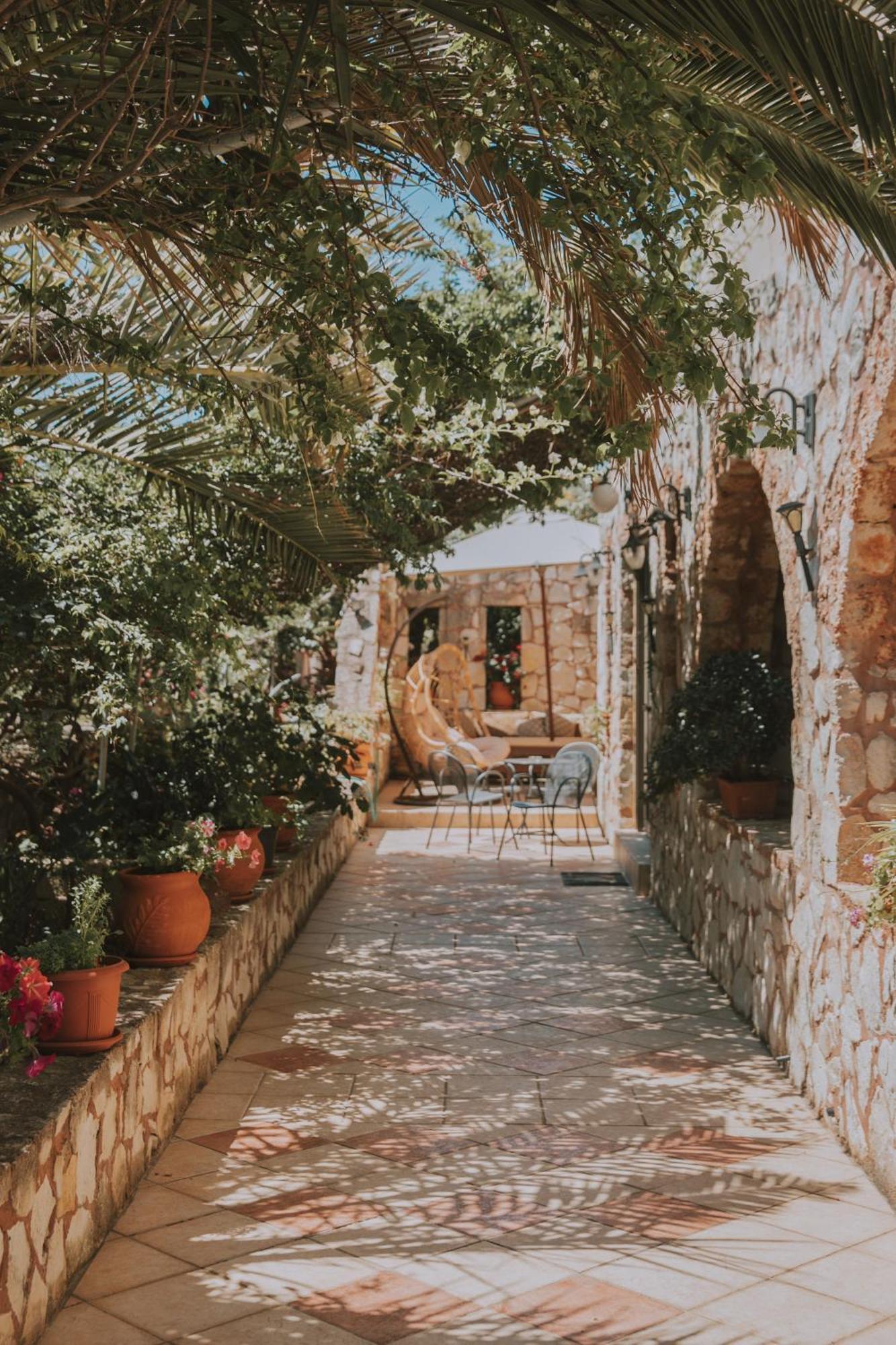 Creta Vitalis Καλαθάς Εξωτερικό φωτογραφία